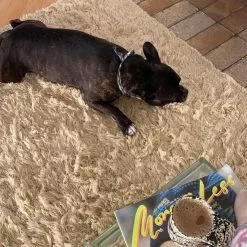 Villamatto - Aliste Wool Shaggy (alabaster Gleam) 11 Villamatto - Aliste Wool Shaggy (alabaster Gleam) -Pyöreät Matot Myymälä makthilda alistewoolshaggyalabastergleam