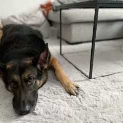 Ryijymatot - Cloud Super Soft (harmaa) 13 Ryijymatot - Cloud Super Soft (harmaa) -Pyöreät Matot Myymälä xxcrlnesvcloudsupersoftgra